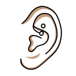 Rook korut