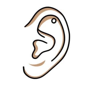 Helix korut