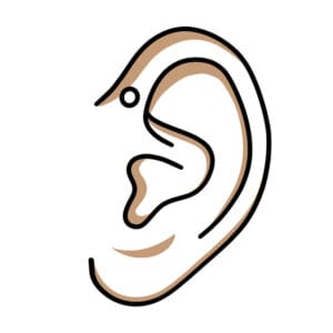 Forward Helix korut